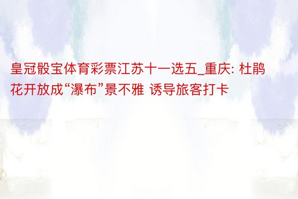 皇冠骰宝体育彩票江苏十一选五_重庆: 杜鹃花开放成“瀑布”景不雅 诱导旅客打卡