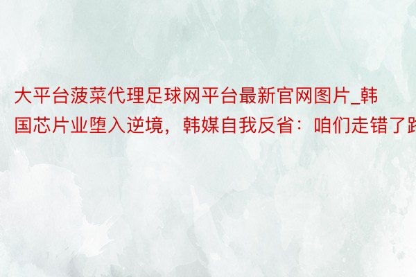 大平台菠菜代理足球网平台最新官网图片_韩国芯片业堕入逆境，韩媒自我反省：咱们走错了路
